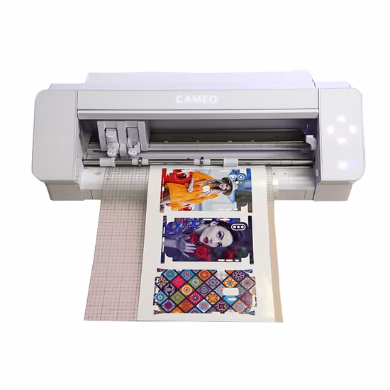 Software di progettazione della skin personalizzata del telefono Daqin in vendita