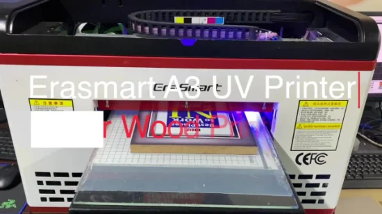 Stampante UV LED a superficie piana ad alta risoluzione, versatile e luminosa per la stampa di custodie per telefoni con inchiostro UV